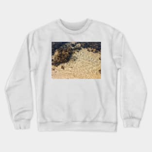 Hawaii Coral Reef Crewneck Sweatshirt